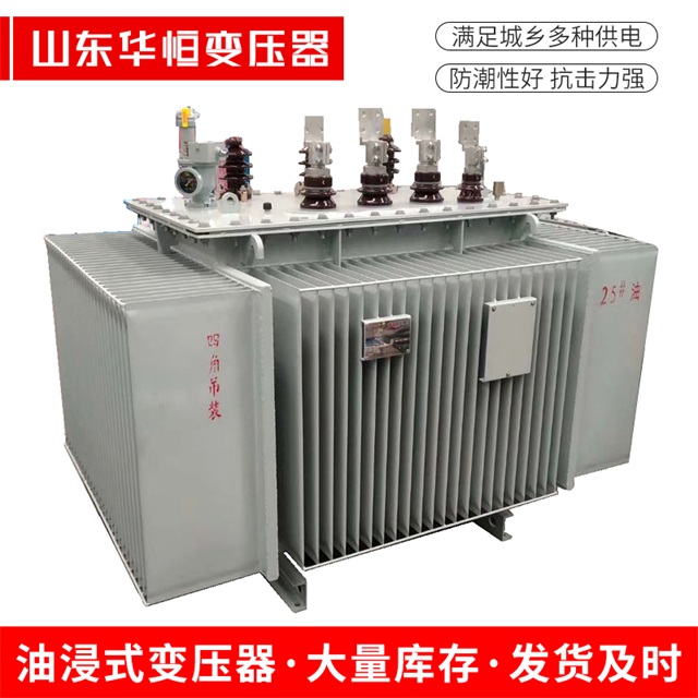 S13-10000/35大方大方大方电力变压器厂家
