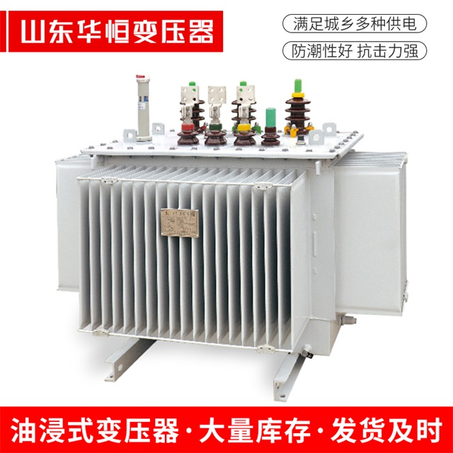 S13-10000/35大方大方大方电力变压器